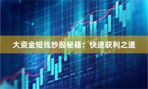 大资金短线炒股秘籍：快速获利之道